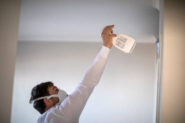 Best Industrial Mold Remediation in New Carrollton, MD